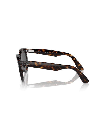 0RB2241__902_B1__P21__shad__lt