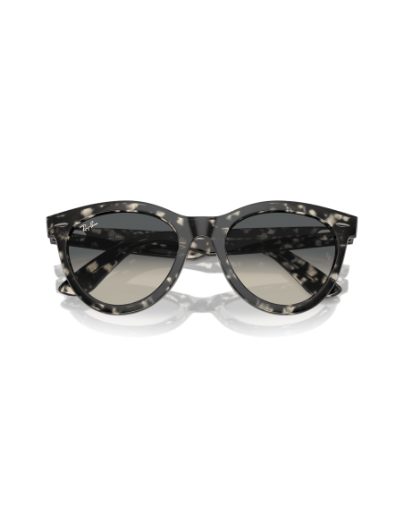 0RB2241__133371__P21__shad__cfr