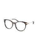 RALPH LAUREN - RL6231U - 5003 - 53