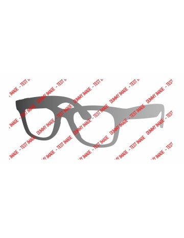 Ray-Ban META WAYFARER Smart glasses Size 53 | Isolani 2