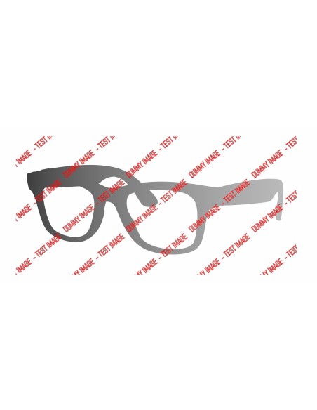 Ray-Ban META WAYFARER Smart glasses Calibro 53 | Isolani