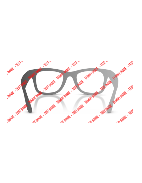 Ray-Ban META WAYFARER Smart glasses Calibro 53 | Isolani