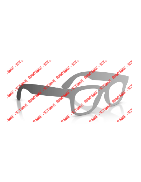 Ray-Ban META SKYLER Smart glasses Calibro 52 | Isolani