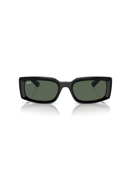 0RB4395__667771__P21__shad__fr