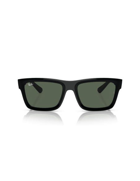 0RB4396__667771__P21__shad__fr