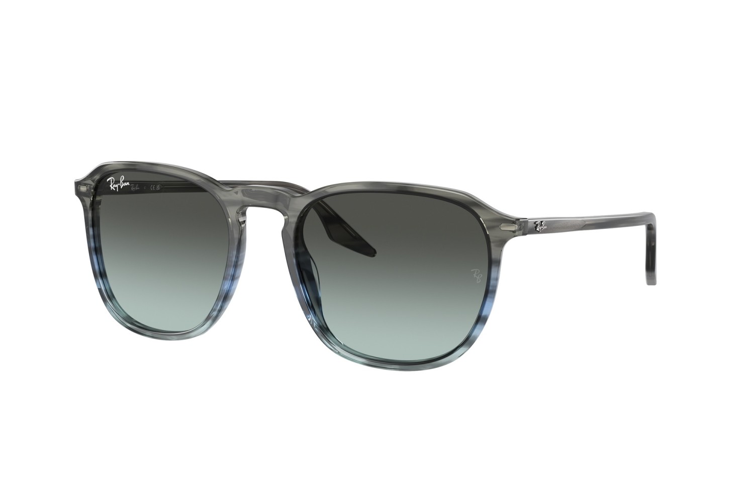 RAY-BAN - RB2203 - 1391GK - 55