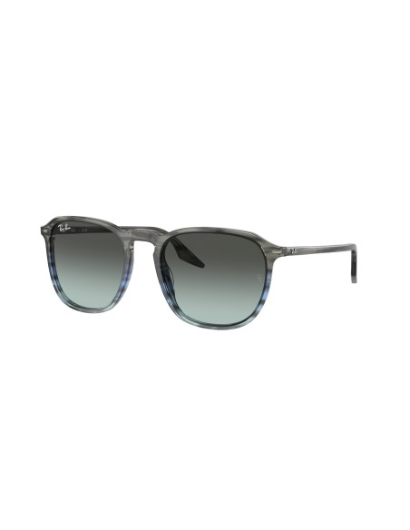 RAY-BAN - RB2203 - 1391GK - 55