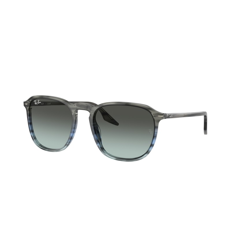 RAY-BAN - RB2203 - 1391GK - 55