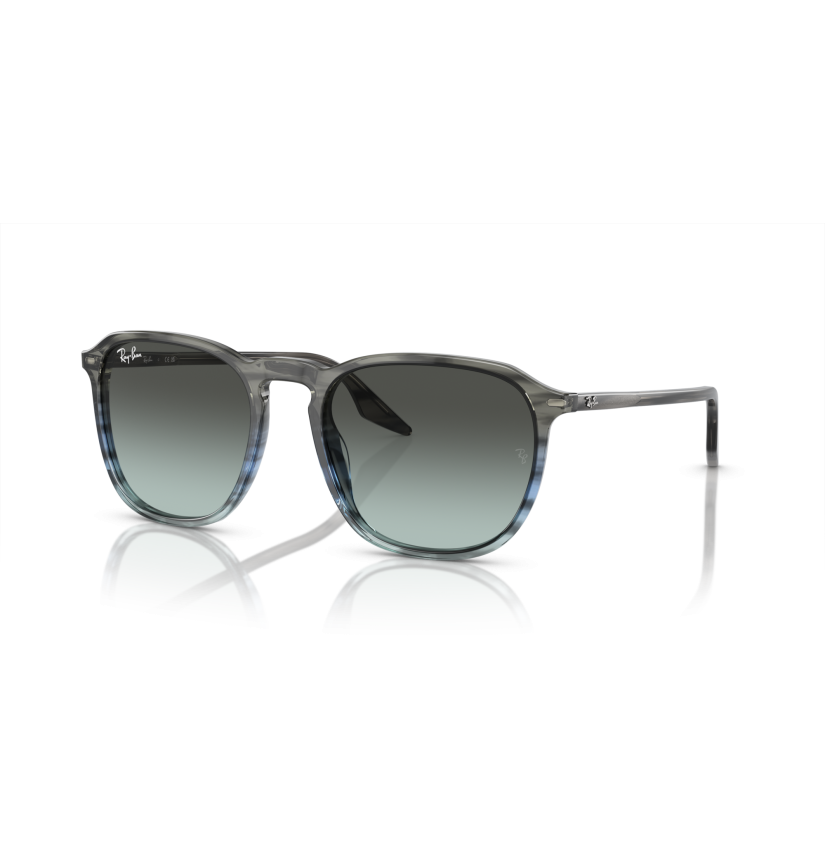RAY-BAN - RB2203 - 1391GK - 55