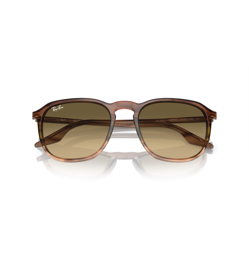 RAY-BAN - RB2203 - 13920A - 55