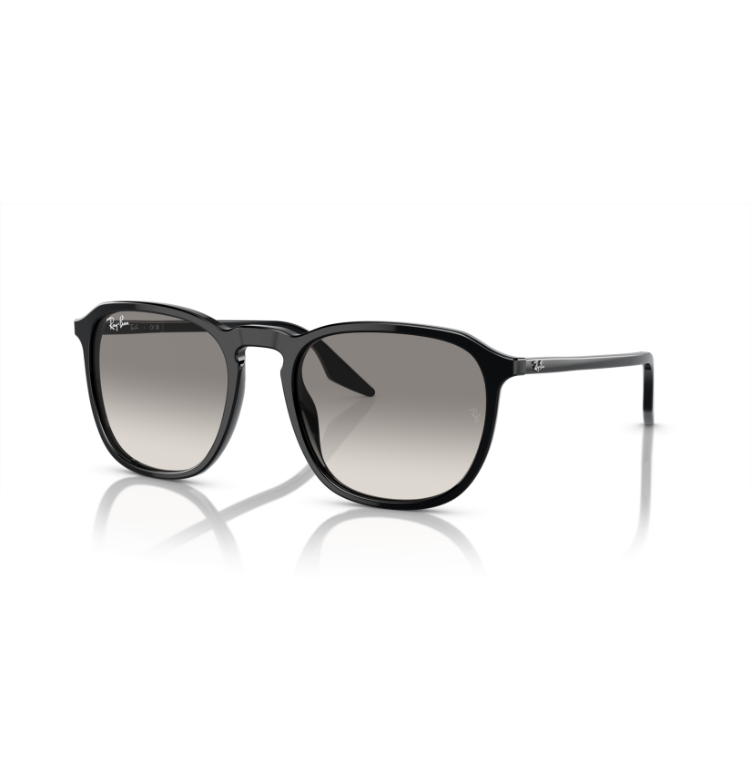 RAY-BAN - RB2203 - 901/32 - 55