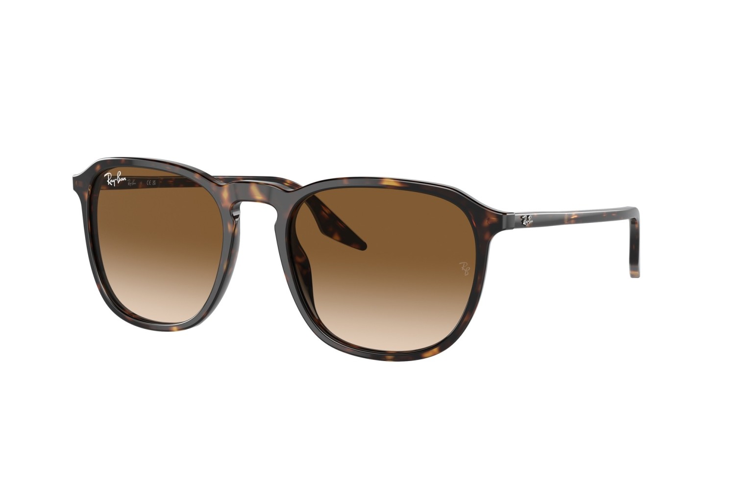 RAY-BAN - RB2203 - 902/51 - 55