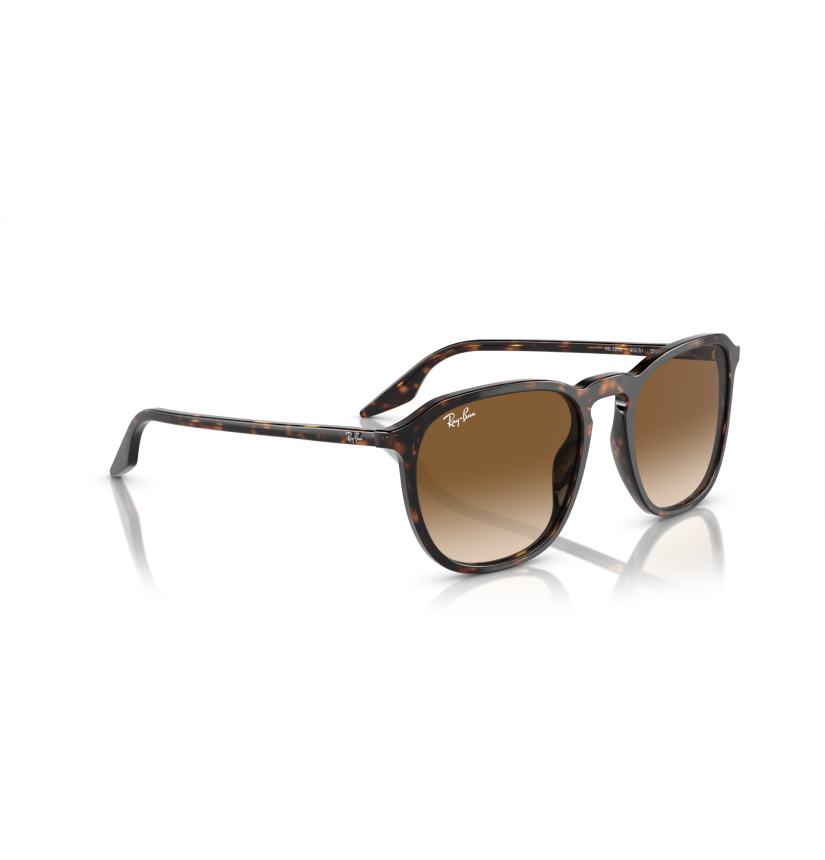 RAY-BAN - RB2203 - 902/51 - 55