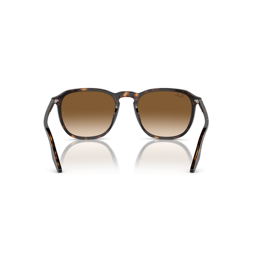 RAY-BAN - RB2203 - 902/51 - 55