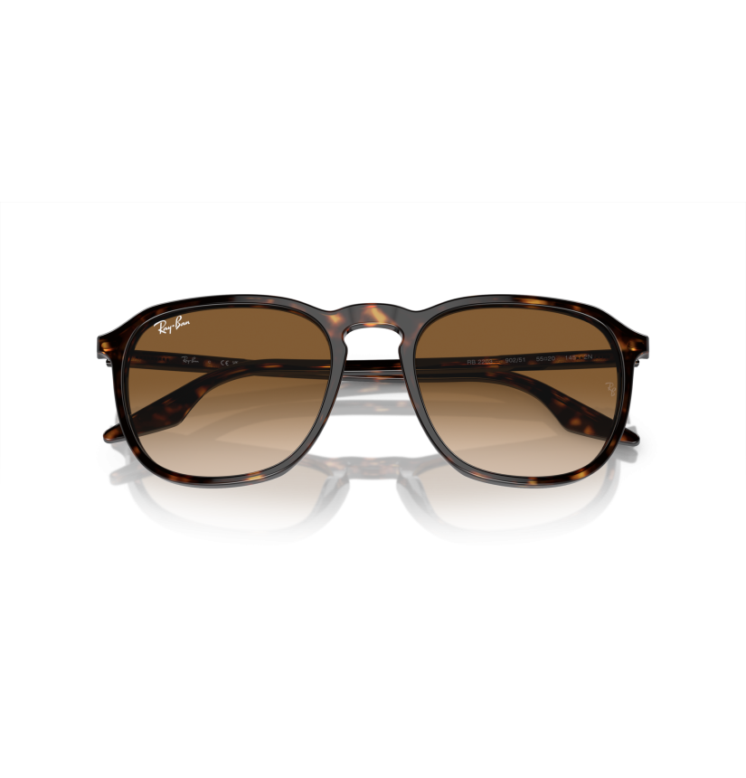 RAY-BAN - RB2203 - 902/51 - 55