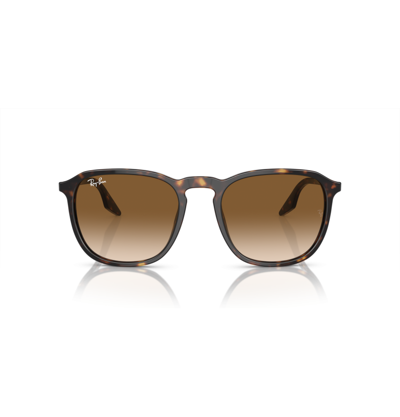 RAY-BAN - RB2203 - 902/51 - 55