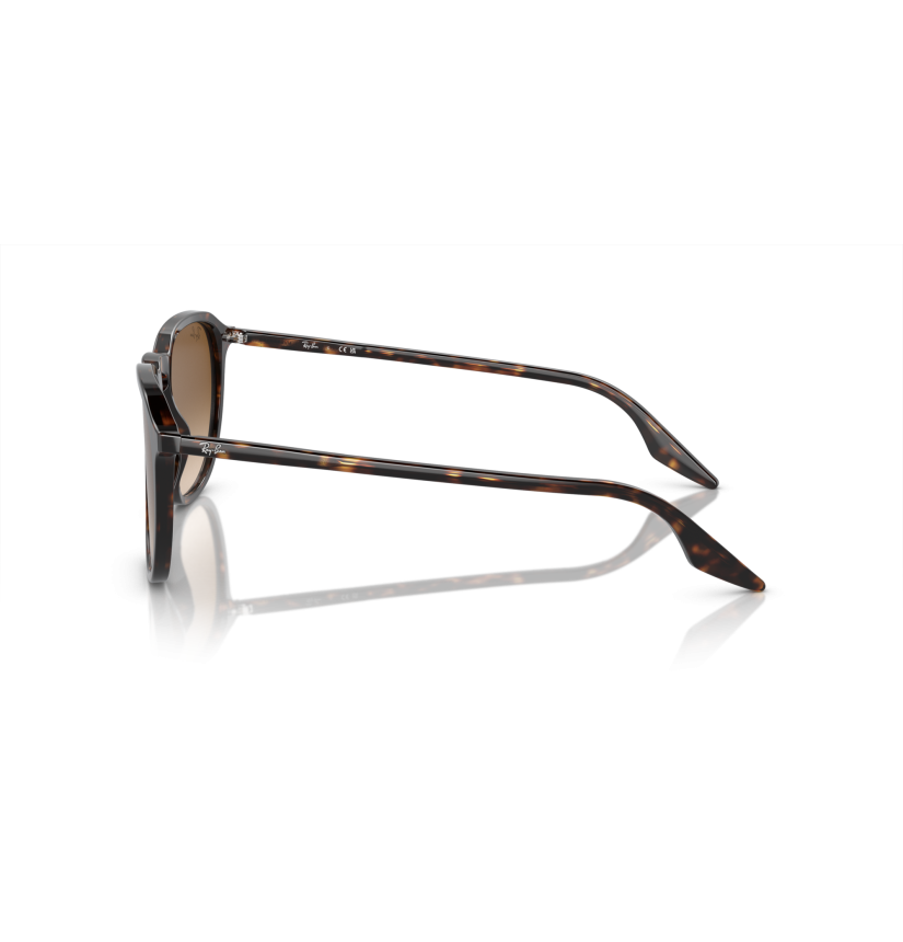 RAY-BAN - RB2203 - 902/51 - 55