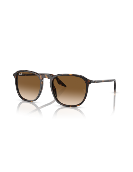RAY-BAN - RB2203 - 902/51 - 55