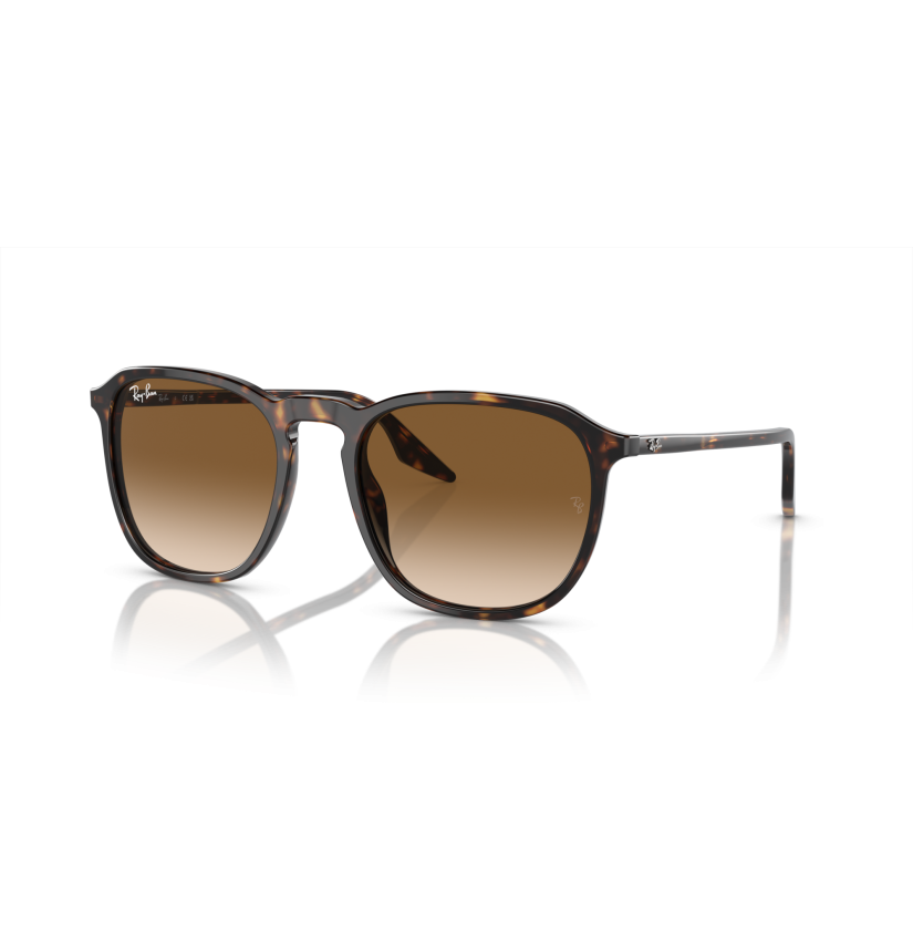 RAY-BAN - RB2203 - 902/51 - 55