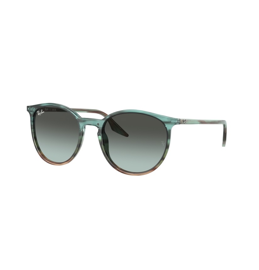RAY-BAN - RB2204 - 1394GK - 54