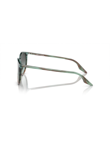 RAY-BAN - RB2204 - 1394GK - 54