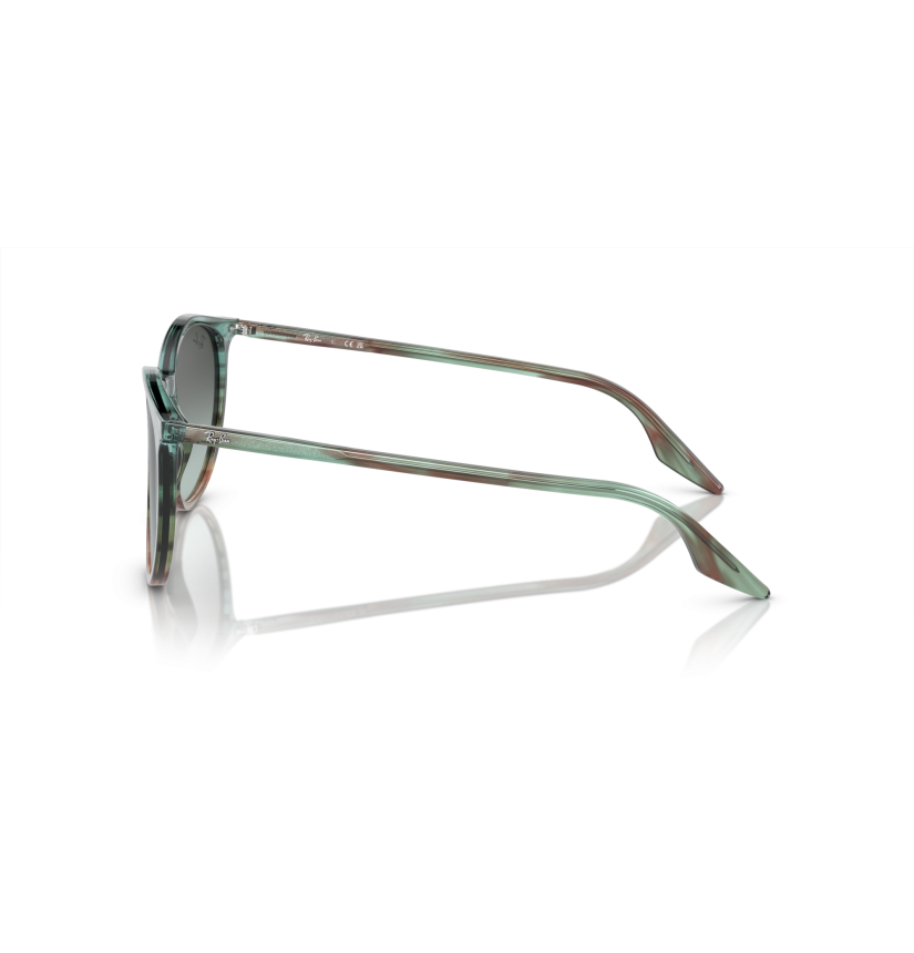 RAY-BAN - RB2204 - 1394GK - 54