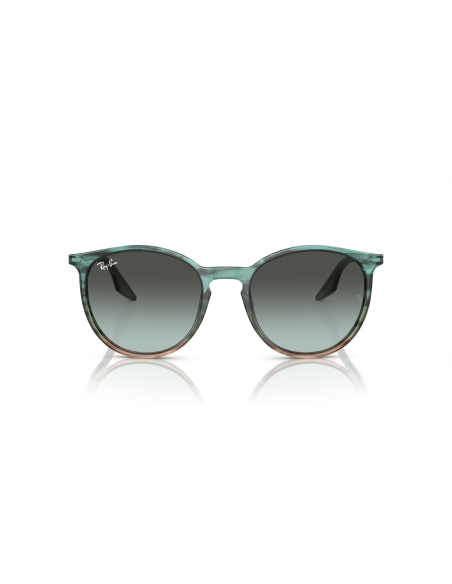 RAY-BAN - RB2204 - 1394GK - 54