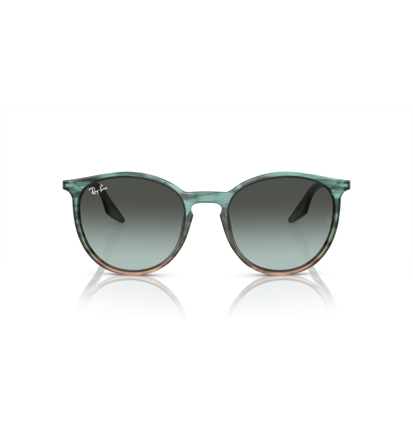 RAY-BAN - RB2204 - 1394GK - 54