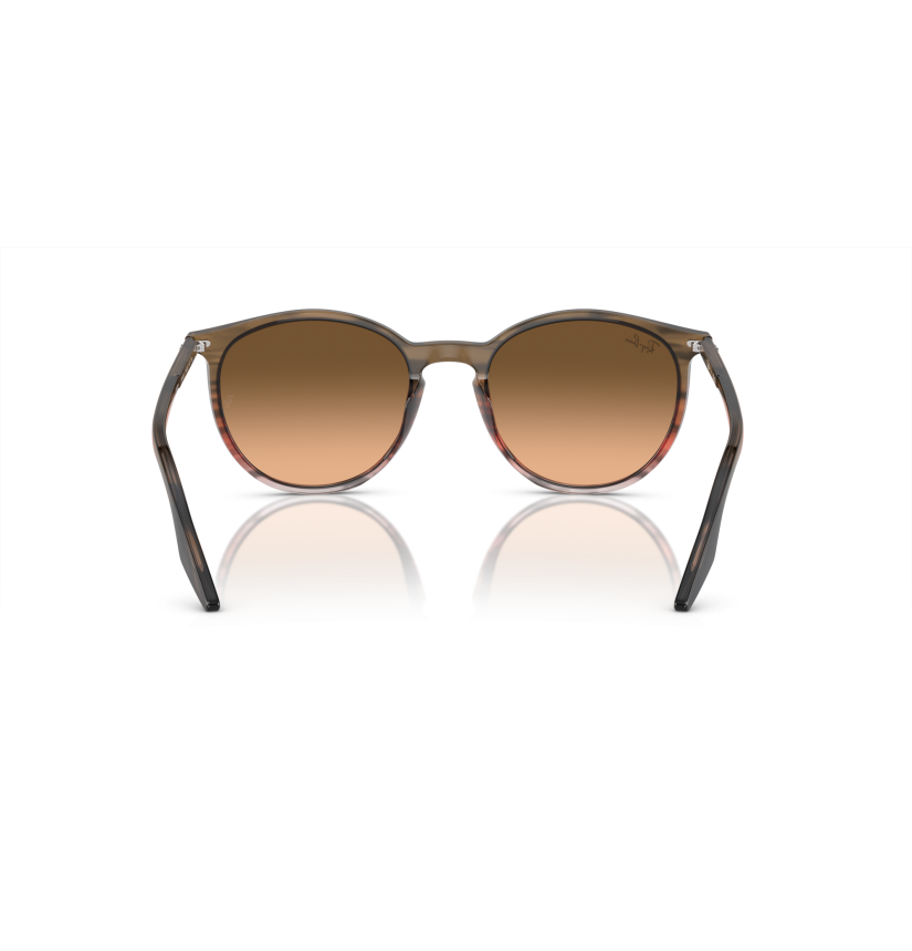 RAY-BAN - RB2204 - 13953B - 54