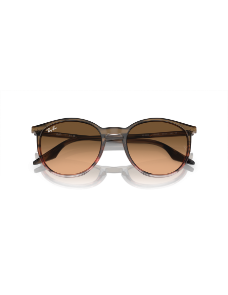 RAY-BAN - RB2204 - 13953B - 54