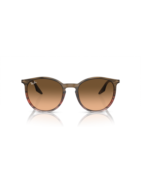 RAY-BAN - RB2204 - 13953B - 54