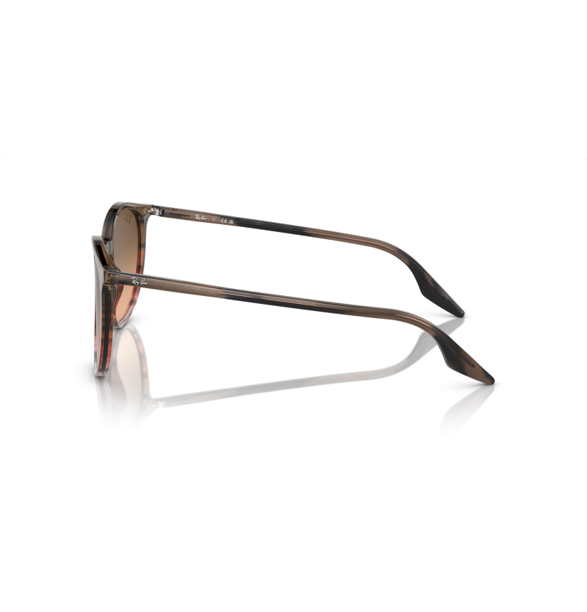 RAY-BAN - RB2204 - 13953B - 54