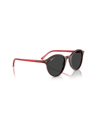 RAY-BAN - BERNARD - RB2230 - 141948 - 53 2