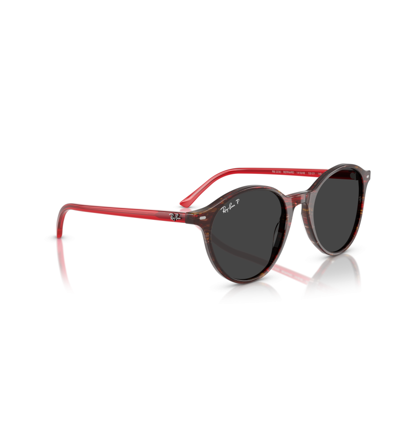 RAY-BAN - BERNARD - RB2230 - 141948 - 53