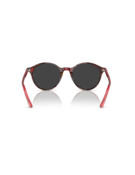 RAY-BAN - BERNARD - RB2230 - 141948 - 53