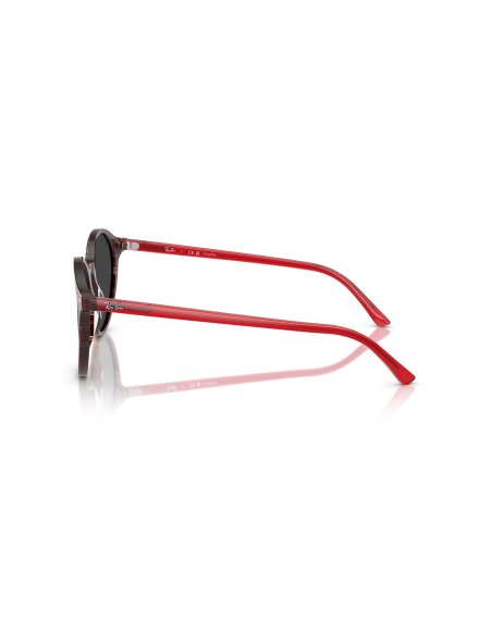 RAY-BAN - BERNARD - RB2230 - 141948 - 53