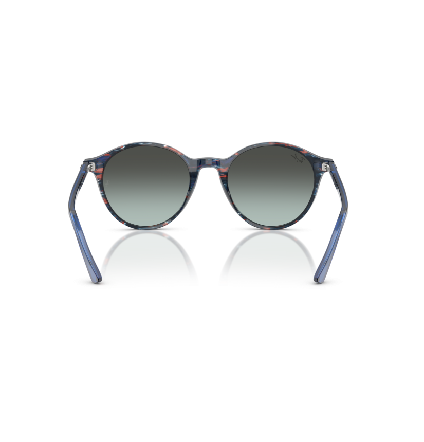 RAY-BAN - BERNARD - RB2230 - 1420GK - 53