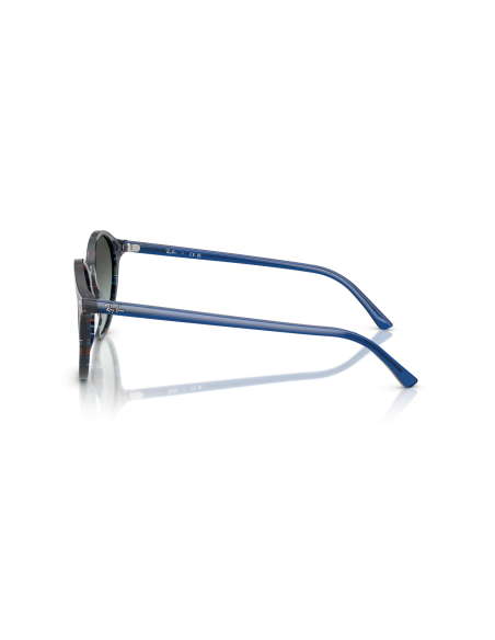 RAY-BAN - BERNARD - RB2230 - 1420GK - 53
