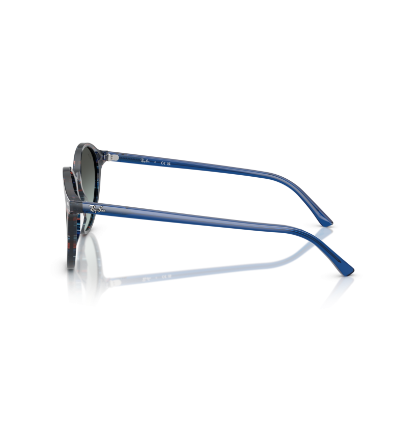 RAY-BAN - BERNARD - RB2230 - 1420GK - 53