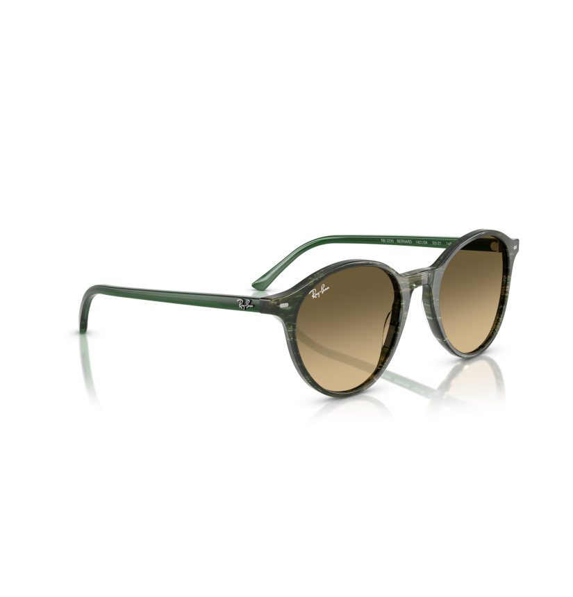 RAY-BAN - BERNARD - RB2230 - 14210A - 53