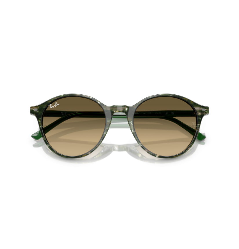 RAY-BAN - BERNARD - RB2230 - 14210A - 53