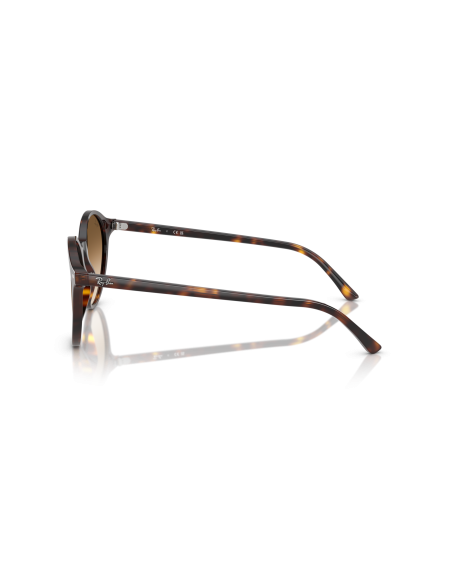 RAY-BAN - BERNARD - RB2230 - 902/51 - 53