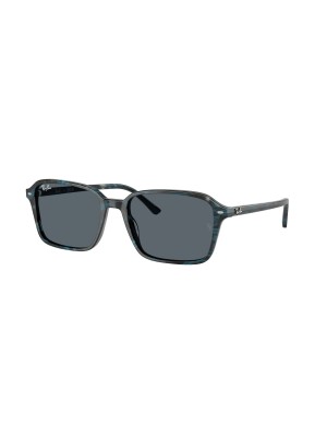 RAY-BAN - RAIMOND - RB2231 - 1417R5 - 58