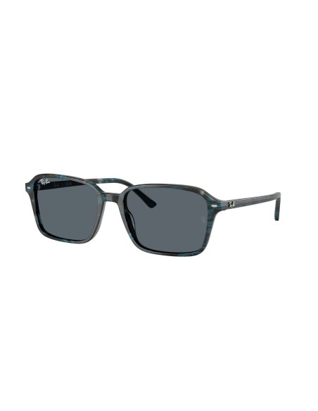 RAY-BAN - RAIMOND - RB2231 - 1417R5 - 58