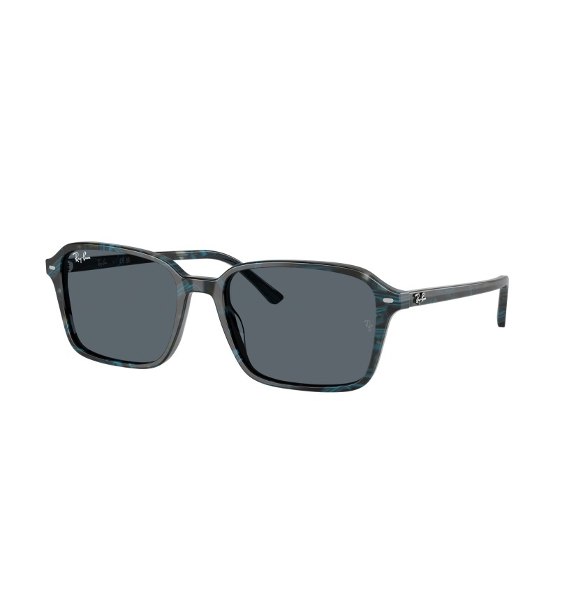 RAY-BAN - RAIMOND - RB2231 - 1417R5 - 58