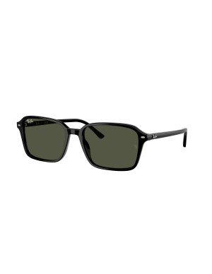 RAY-BAN - RAIMOND - RB2231 - 901/31 - 58