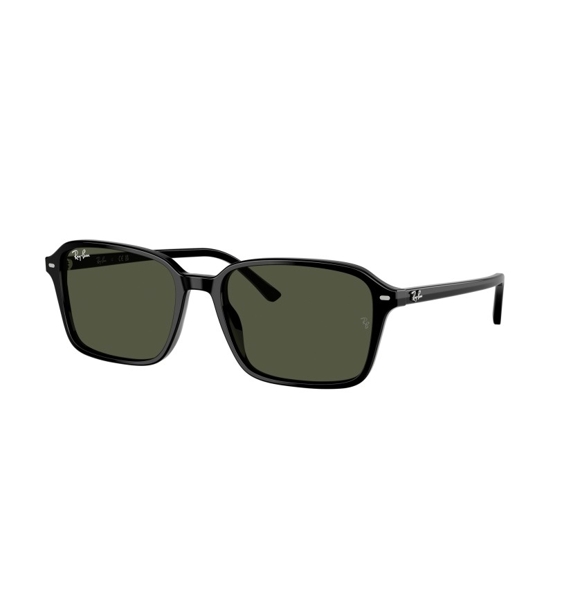 RAY-BAN - RAIMOND - RB2231 - 901/31 - 58