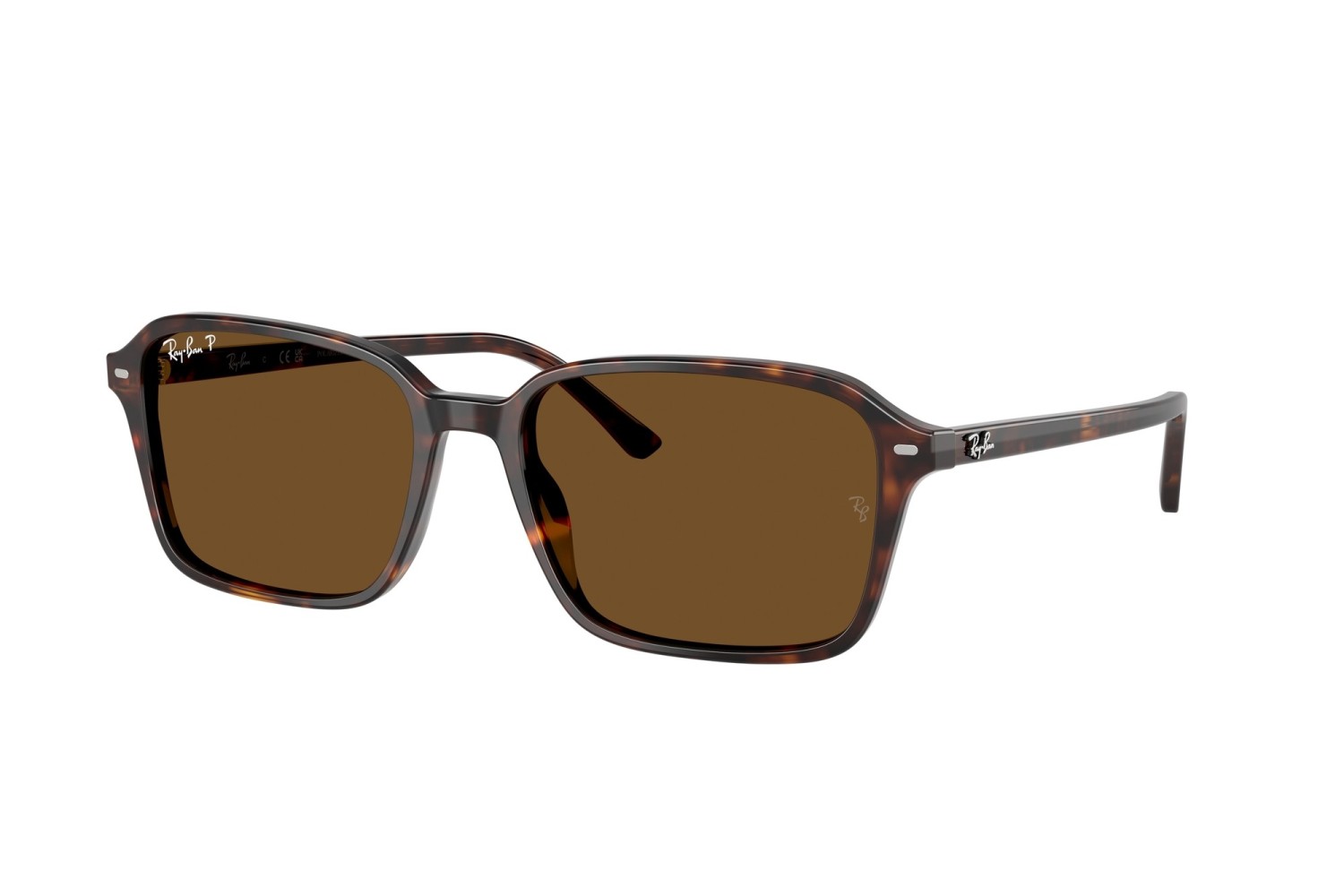 RAY-BAN - RAIMOND - RB2231 - 902/57 - 58