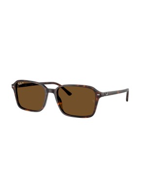 RAY-BAN - RAIMOND - RB2231 - 902/57 - 58