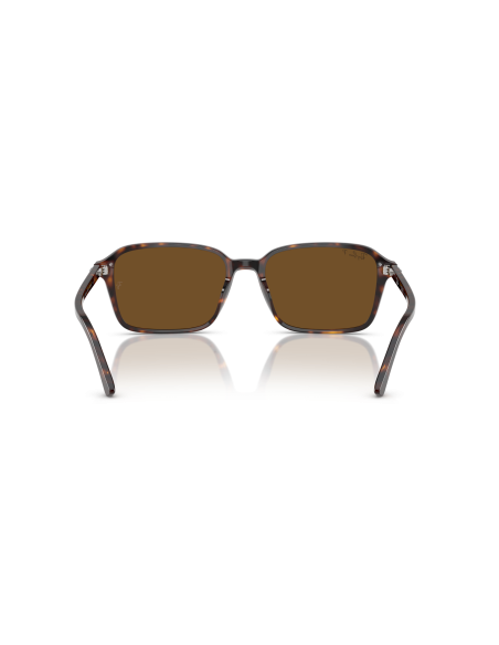 RAY-BAN - RAIMOND - RB2231 - 902/57 - 58